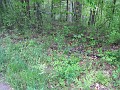 Tilton NH Rail Trail 2010 0345